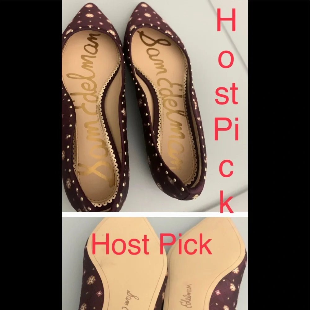 🛍️🛍️ 🥂 HOST PICK 🎁 NWT Sam Edelman Rodney Flats 🥂❤️ Brand New - Picture 3 of 10